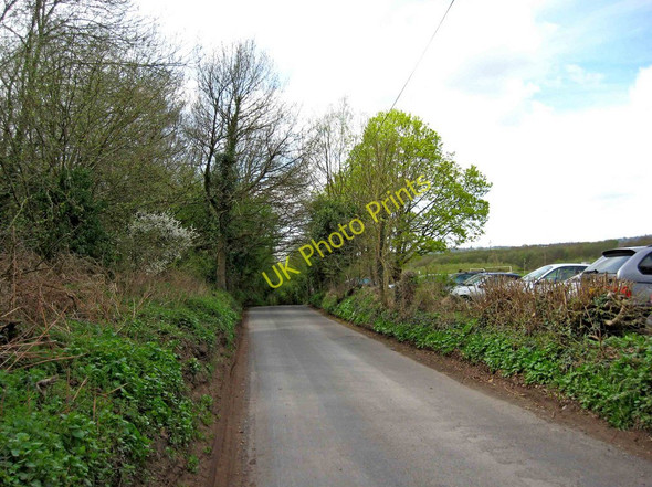 Photo 6"x4" Lea Lane, looking southwest, near Cookley Broadwaters c2011