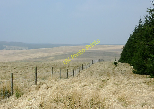 Photo 6"x4" Elenydd moorland  across Cwm Doethie Fach, Ceredigion Camddwr\/SN7754 c2011