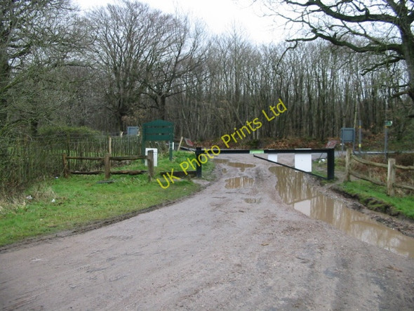 Photo 6"x4" Gypsy Corner on Radfall Road from footpath in Clowes Wood Radfall c2008