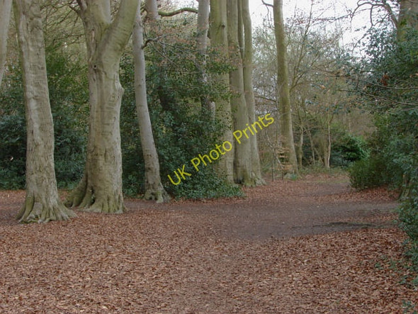 Photo 6"x4" Windlesham, Fields of Remembrance Hatton Hill\/SU9364 c2011