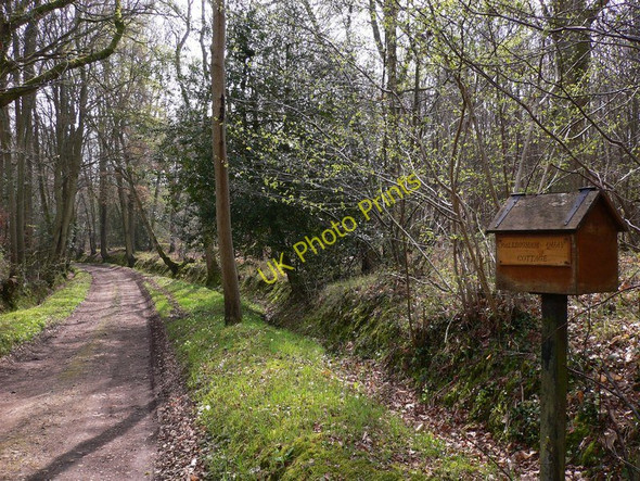 Photo 6"x4" Postbox for cottage on the Wey-South Path Bedham c2011
