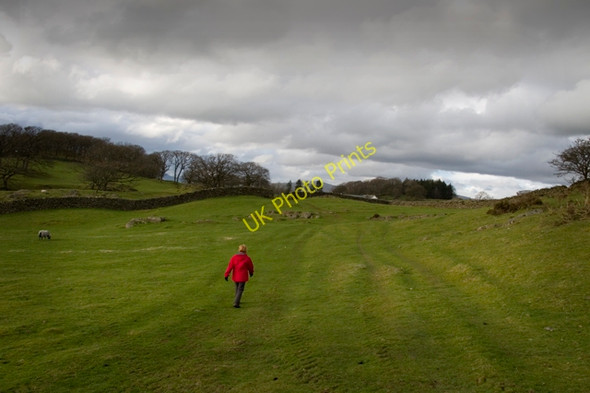 Photo 6"x4" Footpath to Borwick Fold Ings c2011