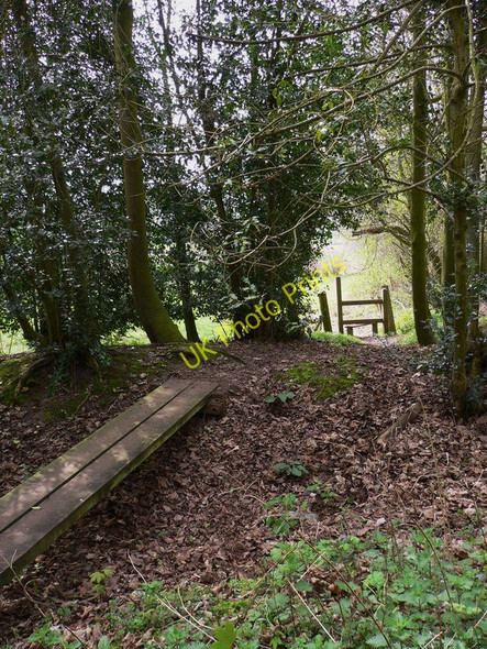 Photo 6"x4" Footpath south from Sandy Lane Churchwood c2011