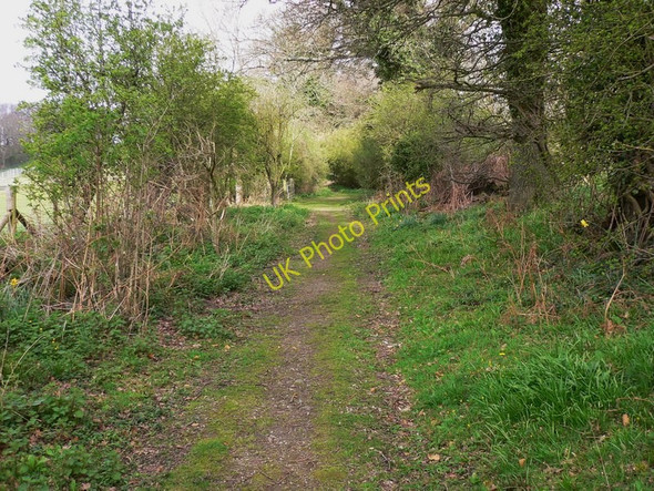 Photo 6"x4" Colebrook Lane north of the houses Coldwaltham c2011