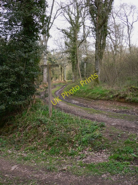 Photo 6"x4" Footpath sign in Waltham Park Lower Horncroft c2011