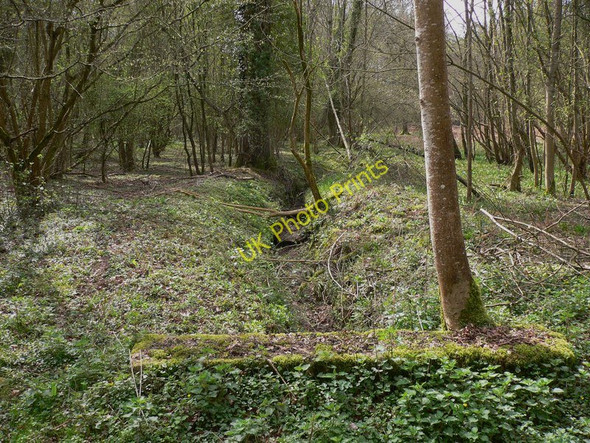 Photo 6"x4" Dry stream bed in Waltham Park (2) Lower Horncroft c2011