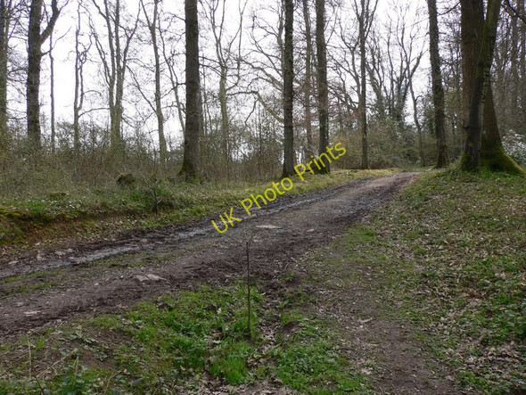 Photo 6"x4" Waltham Park Lower Horncroft c2011