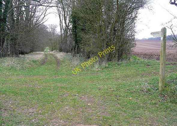 Photo 6"x4" Footpath to Whitchurch Tufton\/SU4546 c2011