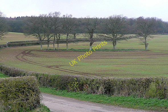 Photo 6"x4" Farmland at New Barn Farm Laverstoke c2011