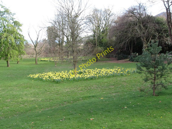 Photo 6"x4" Garden off Tullybrannigan Road Newcastle\/J3732 c2011