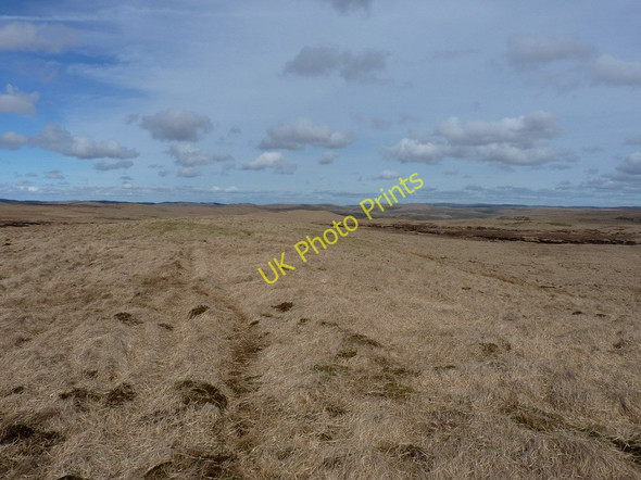 Photo 6"x4" NE along the ridge of Pant-llwyd Llyn Cerrigllwydion Uchaf c2011