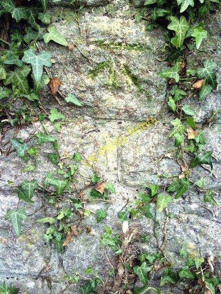 Photo 6"x4" Benchmark on wall pier at entrance to Hailey House Ipsden c2011