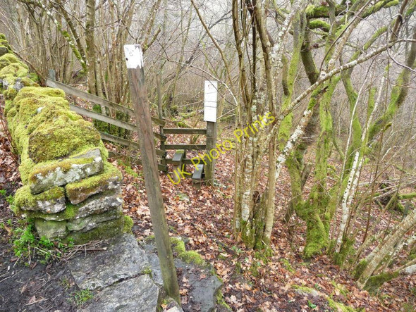 Photo 6"x4" Path into the woods Smardale c2011