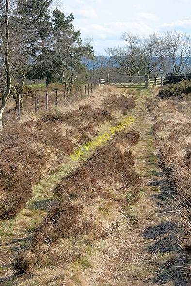 Photo 6"x4" Track over Revidge Hayes\/SK0860 c2011