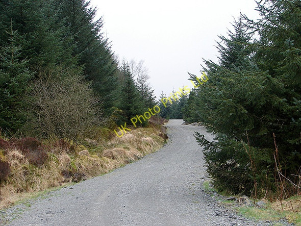 Photo 6"x4" Forestry track at Hirgoed-ddu Pont Rhydgaled c2008