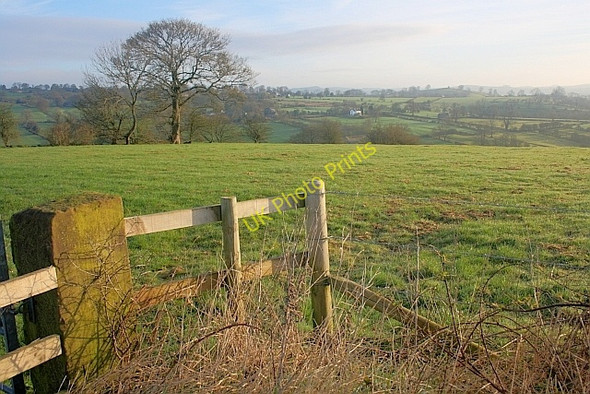Photo 6"x4" Field near Heathy Roods Warslow c2011