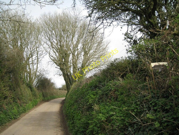 Photo 6"x4" Dartmouth Road between high hedgebanks Abbotsleigh c2011