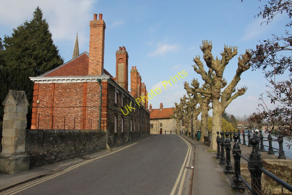 Photo 6"x4" Trees on St Helen's Wharf Abingdon c2011