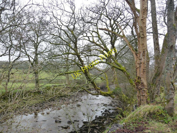 Photo 6"x4" The River Ure Appersett c2011