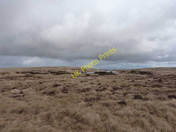 Photo 6"x4" Peat, bogs and a small lake Grafiau c2011