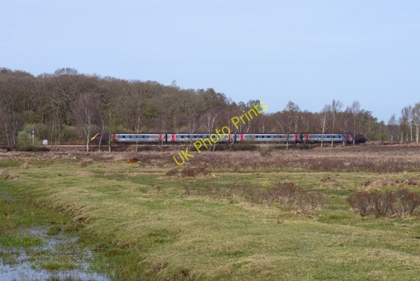Photo 6"x4" Railway in the New Forest Furzey Lodge c2011