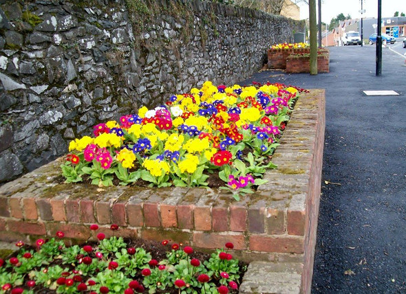 Photo 6"x4" Flower beds in Lisburn Road, Hillsborough Hillsborough\/J2458 c2011