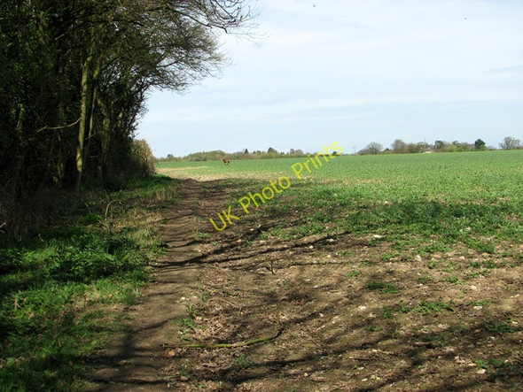 Photo 6"x4" Footpath along a field's edge, East Dereham Dumpling Green c2011
