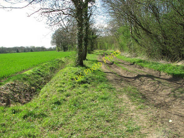 Photo 6"x4" Bridleway to Dumpling Green, East Dereham Dumpling Green c2011