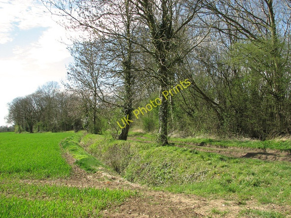 Photo 6"x4" View along a field's edge, Yaxham Dumpling Green c2011