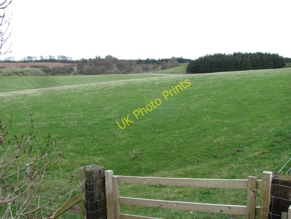 Photo 6"x4" Farmland by Castle Heaton Melkington c2011