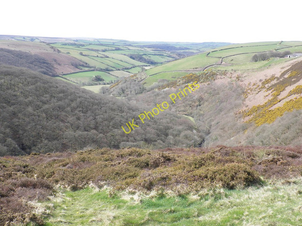 Photo 6"x4" Upper East Lyn valley Leeford\/SS7748 c2011