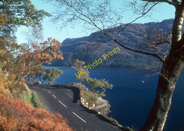 Photo 6"x4" Rubha Mor, Loch Lomond Rowardennan c1971