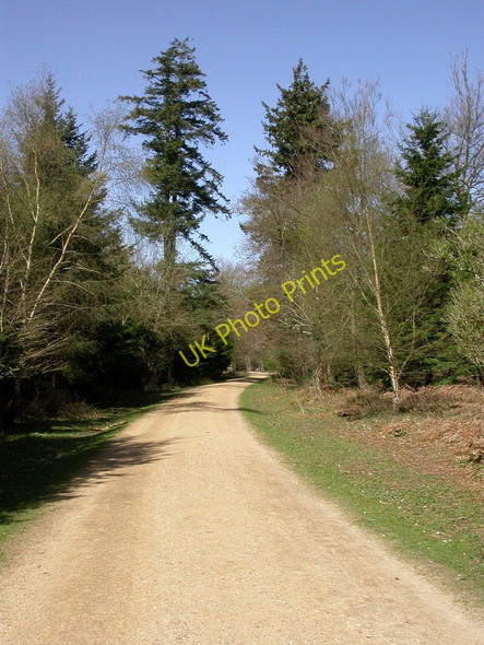 Photo 6"x4" Wilverley Inclosure, cycle route Mead End\/SZ2698 c2011
