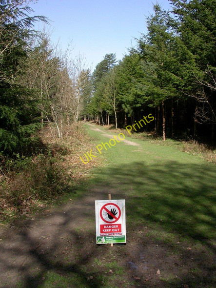 Photo 6"x4" Wilverley Inclosure, warning sign Mead End\/SZ2698 c2011