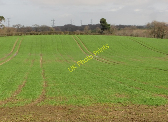 Photo 6"x4" Arable land, Harwood West Calder\/NT0163 c2011