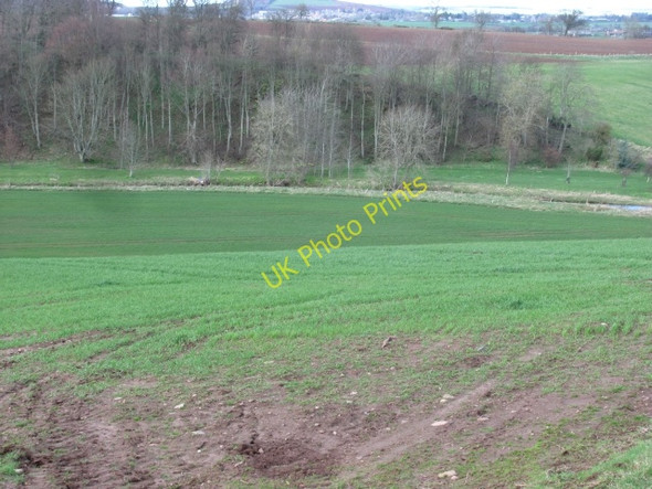 Photo 6"x4" Arable land, Fogo Fogo c2011