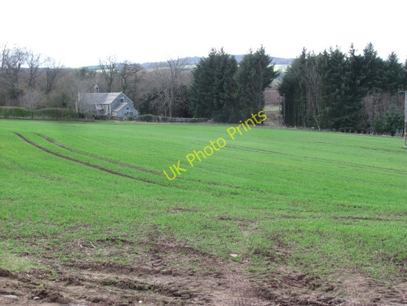 Photo 6"x4" Cereals and Fogo Church Fogo c2011
