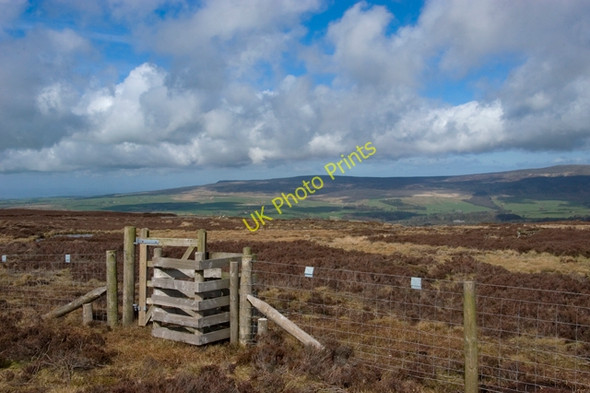 Photo 6"x4" Access gate on Grizedale Head Oakenclough\/SD5447 c2011