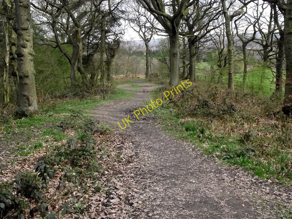 Photo 6"x4" Looking back to the gate Leek\/SJ9856 c2011