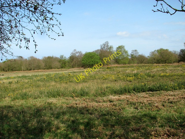 Photo 6"x4" Tumulus in Salthouse Heath Salthouse\/TG0743 c2011
