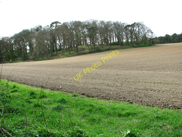 Photo 6"x4" Fields and woodland south-west of Lawn Farm Holt\/TG0838 c2011