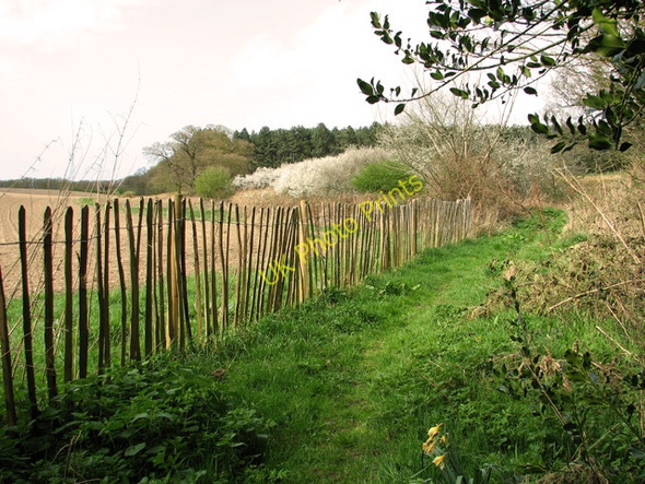Photo 6"x4" Public footpath north-west of Lawn Farm Holt\/TG0838 c2011