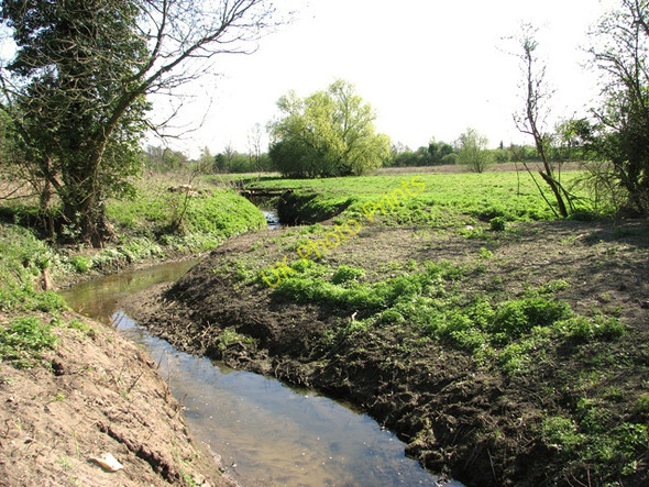 Photo 6"x4" Tributary of the River Tas south of Lower Tasburgh Low Tharston c2011