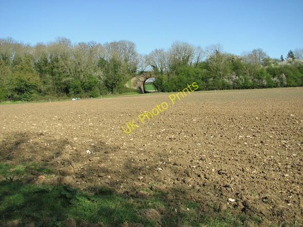 Photo 6"x4" Dismantled railway line, Tharston Hapton\/TM1796 c2011