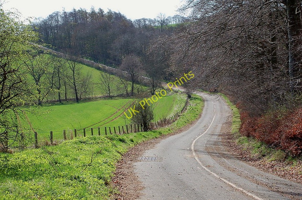 Photo 6"x4" A road without traffic near Eildon Melrose\/NT5434 c2011
