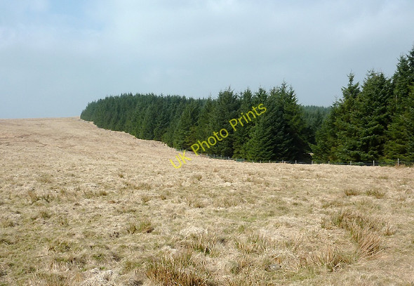 Photo 6"x4" Moorland and forest west of Soar-y-Mynydd, Ceredigion Camddwr\/SN7754 c2011