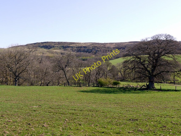 Photo 6"x4" Field west of the Edlingham Burn Edlingham c2011
