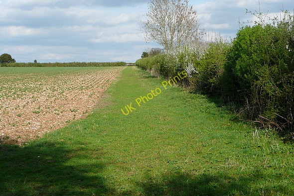 Photo 6"x4" Farmland at Egypt Egypt\/SU4640 c2011