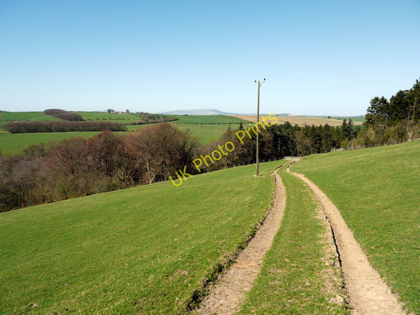 Photo 6"x4" Bridleway west of Overthwarts Edlingham c2011