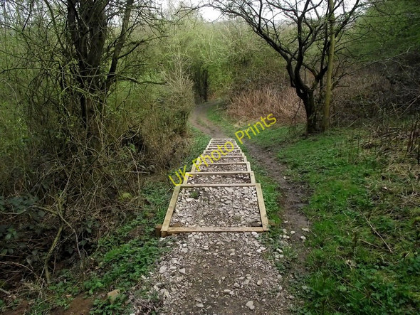 Photo 6"x4" Down the steps Leek\/SJ9856 c2011